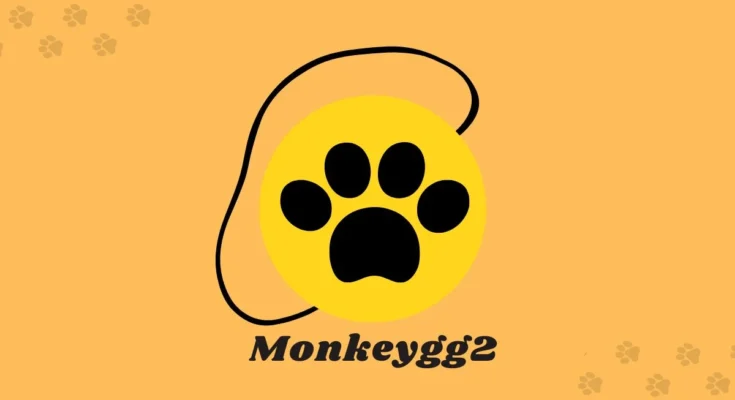 monkeygg2